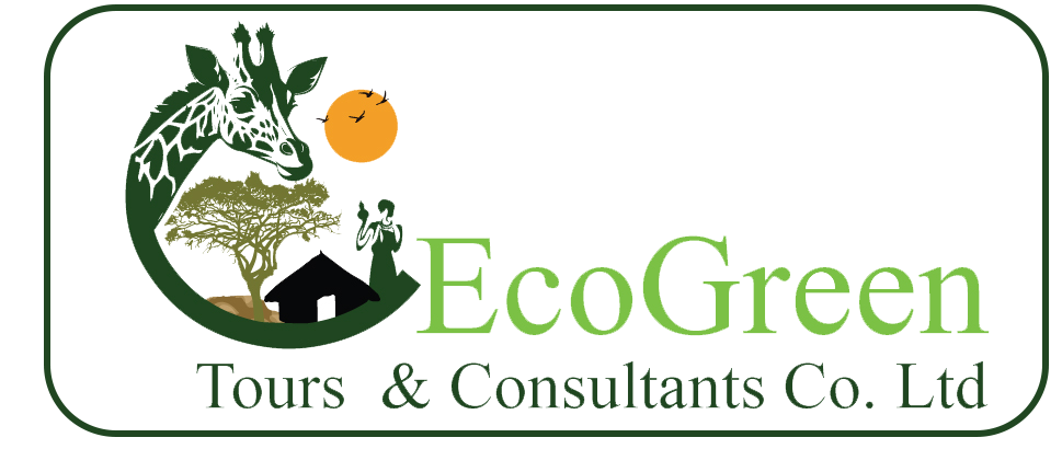 EcoGreen Tours and Consultans co. Ltd