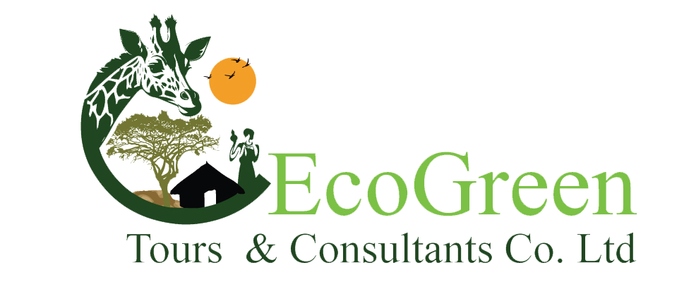 EcoGreen Tours and Consultans co. Ltd - 